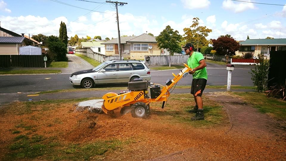 12814612_779253328871854_2299811731673612717_n