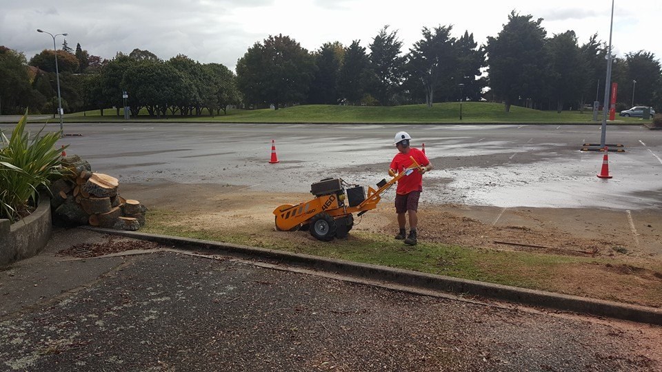 13092002_807262979404222_6388703387524147462_n