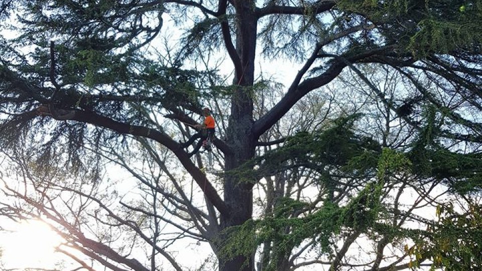 22279536_1118588378271679_7085942441883286736_n