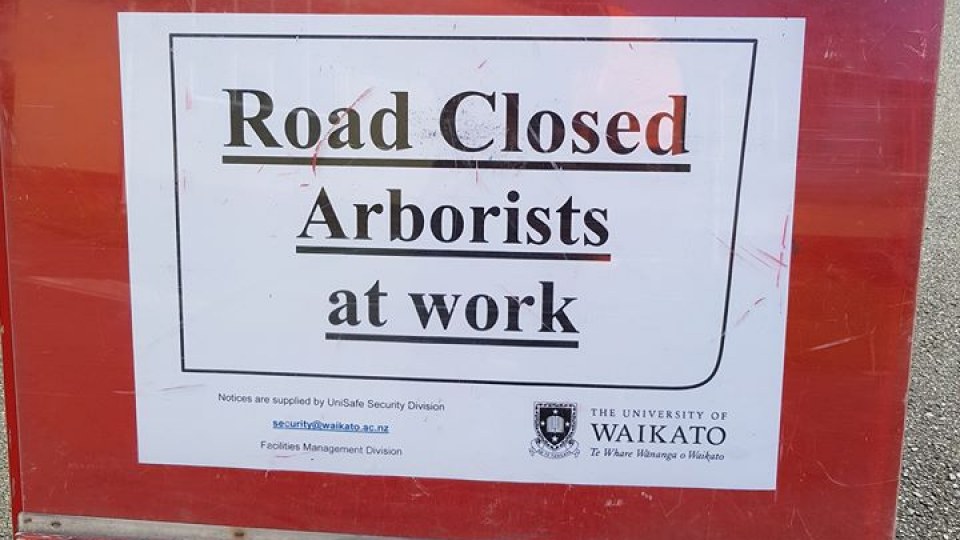 27540422_1185215328275650_8452885043593616591_n