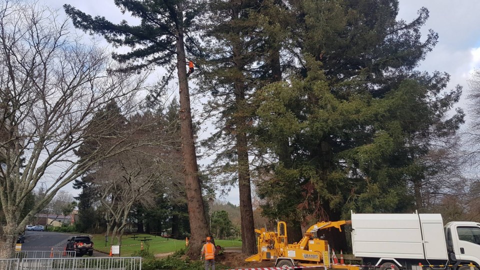 36063293_1278245192305996_5054715691760877568_o