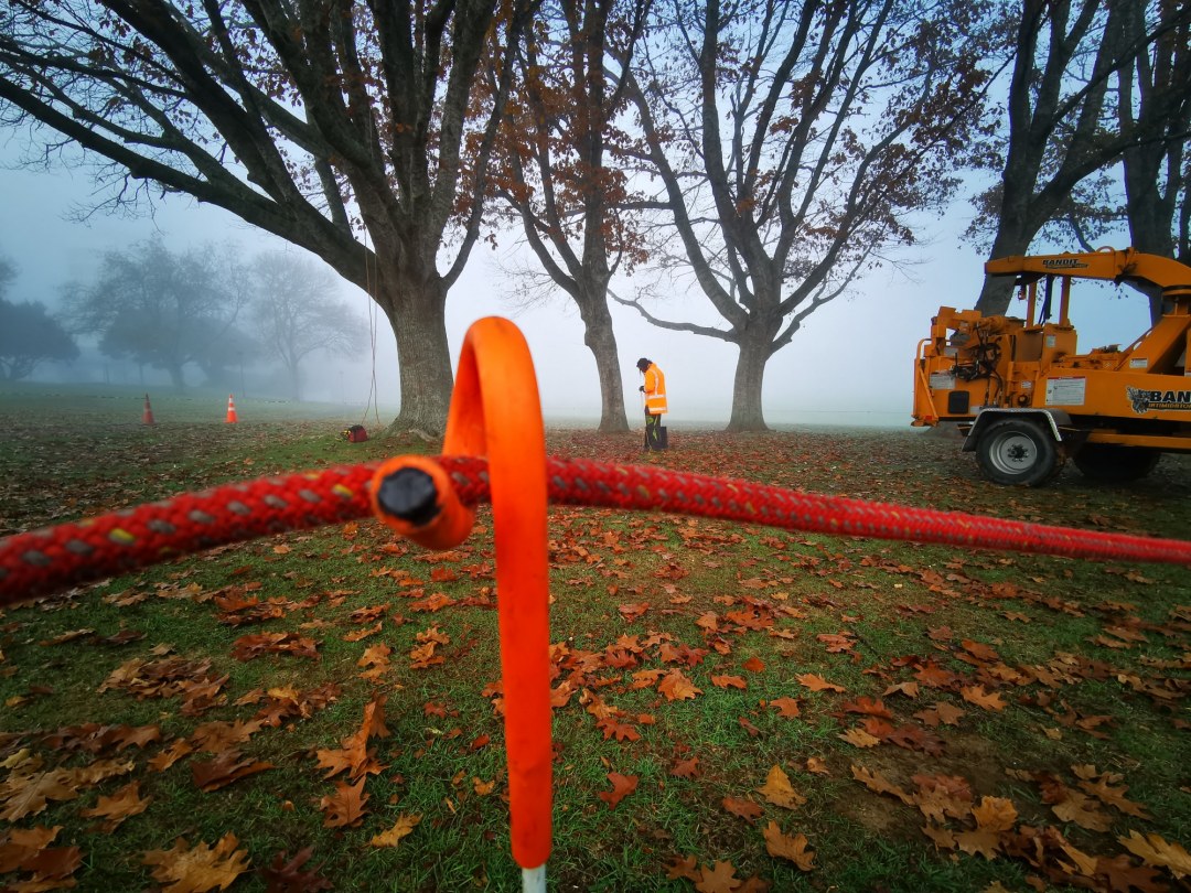 Ground Clearance Commercial