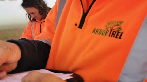 Arbor Tree - Waikato | Tree Maintenance | Tree Management