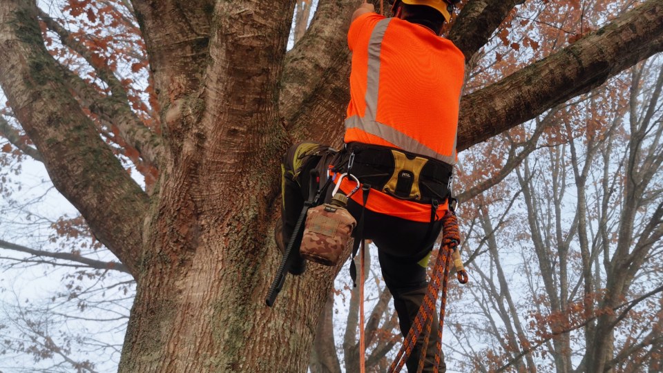 IMG_20190524_084034_1