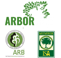 Arbor Tree - Waikato | Tree Maintenance | Tree Management